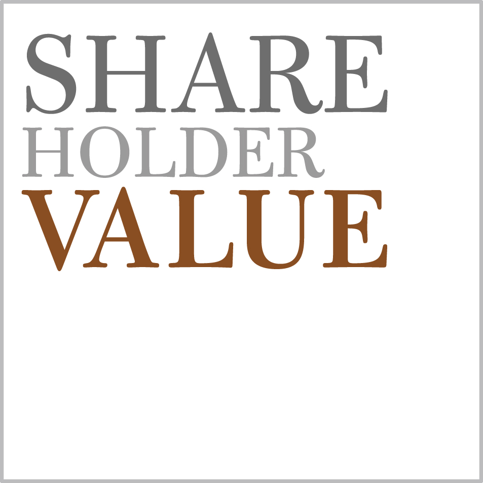 Logo Shareholder Value Management AG